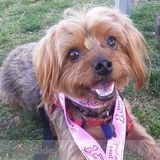 Love all animals. Will take great care of your pet.