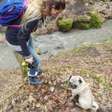 Trusty And Nice Animal Sitter in Brampton, Ontario