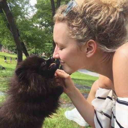 House Sitter Provider Rachel Simpson's Profile Picture