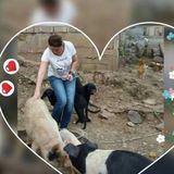 Available: Hardworking Animal Lover in Fort McMurray, Alberta, I have spent a lot of time with taking care of animals.