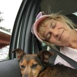 Dog Walking Offered in Cornwall