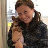 Hard working, loving and caring for dogs and puppies will watch any animals
