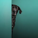 Big or small I would love to help!