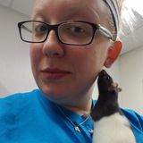 Dog Walking and Exotic pet care