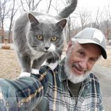 Compassionate Animal Caregiver Seeks L.A., CA area Pet-sitting Position In December, 2015