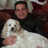 Medford Dog Sitter Interested In Job Opportunities in New York