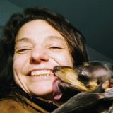Rochester House and Pet Sitter Available