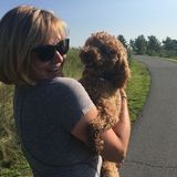 Stellar house sitter professional woman with stellar work ethic and awesome references