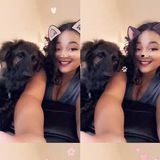 El Paso Pet Sitter And Walker