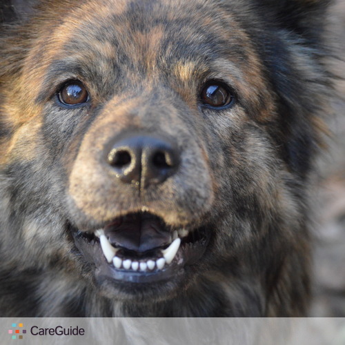 Pet Care Provider Mary L's Profile Picture