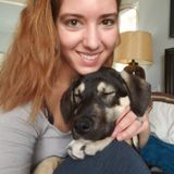 Pet Daycare, Board, and basic pampering packages Offered in Abbotsford