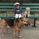 Needed: a Well Trained Part Time (24 hours per week) Nanny in Victoria, British Columbia