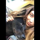 Loving and Reliable Animal Caregiver - Available