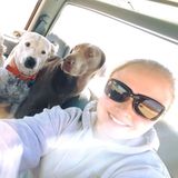 Veterinary Student, Canine Lover!