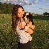 Saskatoon Pet Sitter Seeking Job Opportunities in Saskatchewan