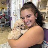 Need A Pet Sitter? You Found The Best!