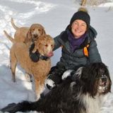Active retiree, reliable, respectful, who loves animals