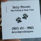 Daisys dog walking and home visits for your furr babies while your at work or away from home!