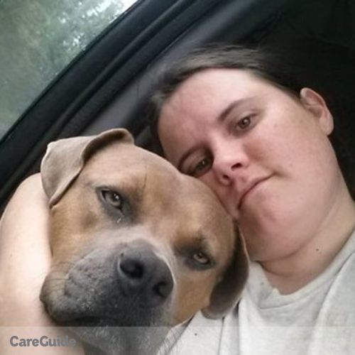 Pet Care Provider Wendi S's Profile Picture
