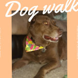 Trustworthy Pet Sitting Professional Available Immediately
