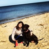 Capable Dog Sitting Professional in Astoria