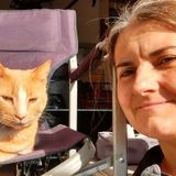 Overnight or daytime care for cats and or dogs available