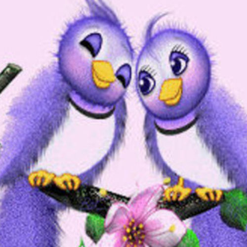 Housekeeper Provider Janet T's Profile Picture