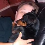 Pet Sitter for Hire