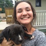 Animal Lover Available to Watch Pets Now