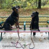 Friendly and flexible pet care provider in The Danforth area.