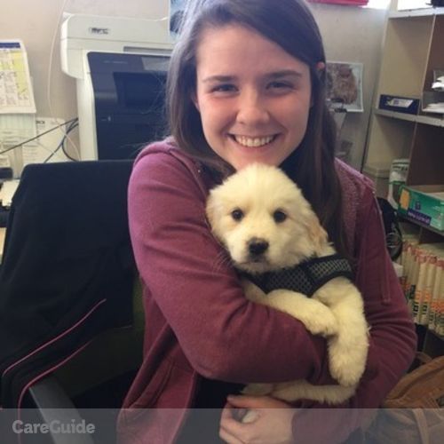 Pet Care Provider Taylor Huebner's Profile Picture