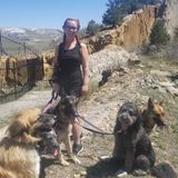 Dedicated Animal Lover in Yucca Valley