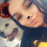 Pet Sitting,walking,overnight sitting Offered in Zephyrhills and Wesley chapel area