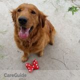Kind gentle loving animal care.