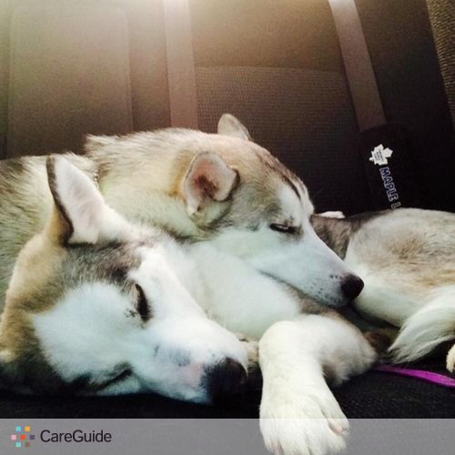 Pet Care Provider Sammie G's Profile Picture