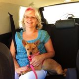Registered Nurse and Responsible Homeowner Looking for Housesitting Opportunities