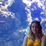 Bay Area House Sitter