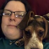 Matthews, North Carolina Pet Sitter