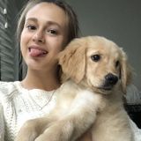 Caring Pet Service Provider in Walnut Creek and near