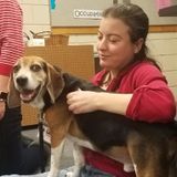 Pet lover looking for opportunities near Ithaca/Cortland
