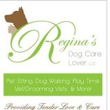 Most Skillful Dog,&CatSittingProfessional in Stamford