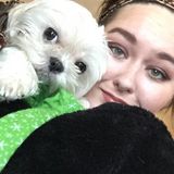Dog Lover