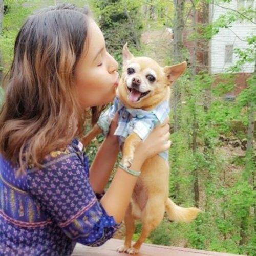 House Sitter Provider Daniela Castro's Profile Picture