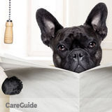 YOUR DREAMSITTER - Expert Pet Care with HEART!
