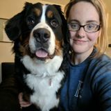 Lima Pet Carer Seeking Job Opportunities in Ohio (PLEASE contact by email, thank you!)
