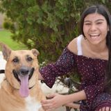 Loving Dog Walker/Sitter for Your Home