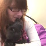 Greenville Pet Sitter Looking for Work
