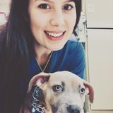 Trustworthy, considerate, responsible pet, plant & house care in the South Bay