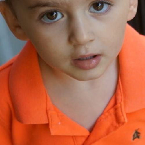 Canadian Nanny Job Nicole V's Profile Picture