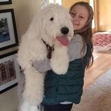 For Hire: Caring Pet Service Provider in Rockford, Illinois